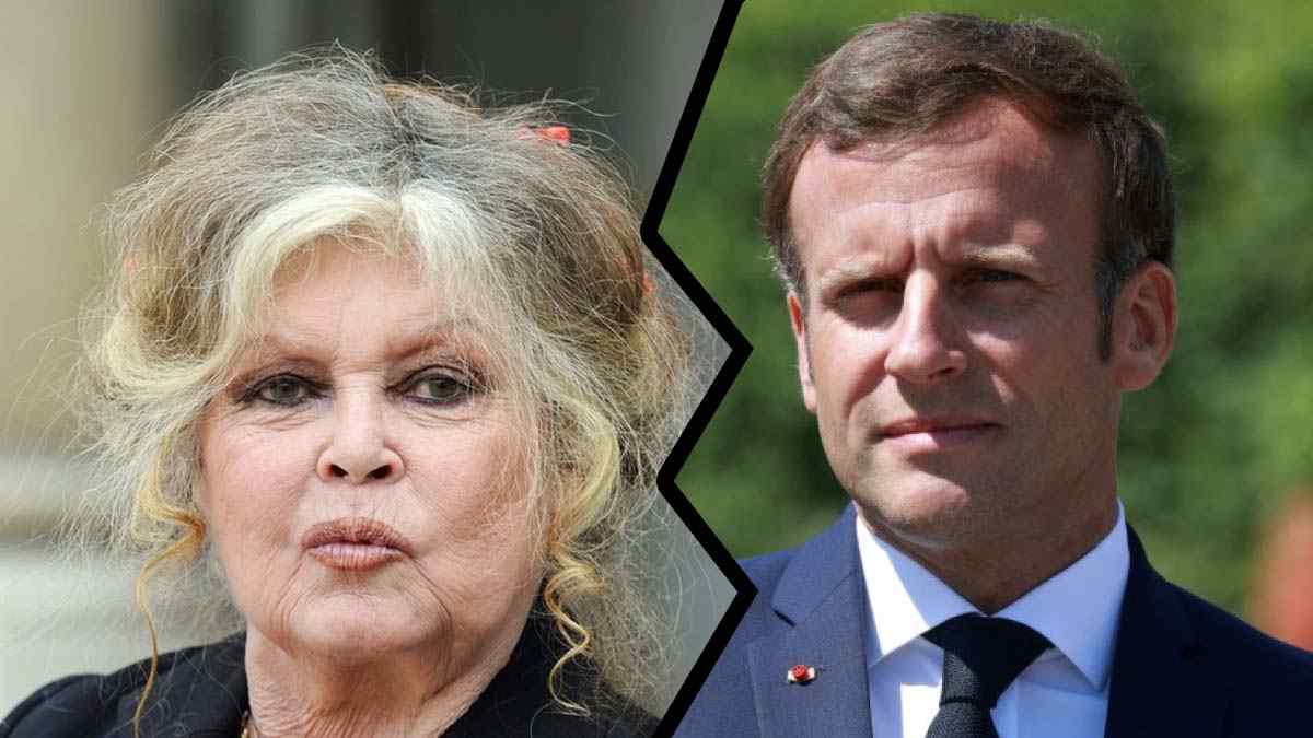 Encore une fois Emmanuel Macron suscite l’ire de Brigitte Bardot !