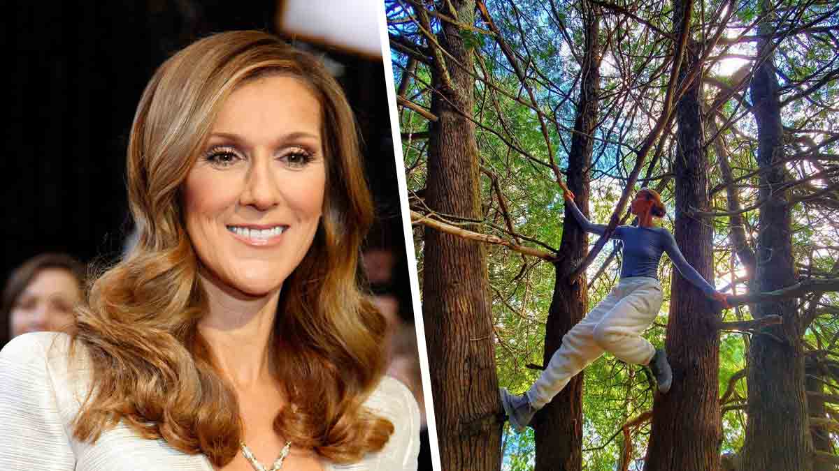 "Imaginez-vous vous balader en forêt et tomber sur Céline Dion perchée dans un arbre !" Le CHOC !