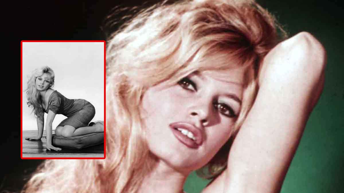 "J’étais jolie j’avais des aventures je plaisais aux hommes” : Brigitte Bardot déballe tout sur ses nombreuses conquêtes !